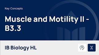 Muscle and Motility II video thumbnail