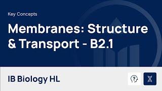 Membranes:  Structure & Transport - HL video thumbnail