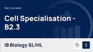 Cell Specialisation video thumbnail