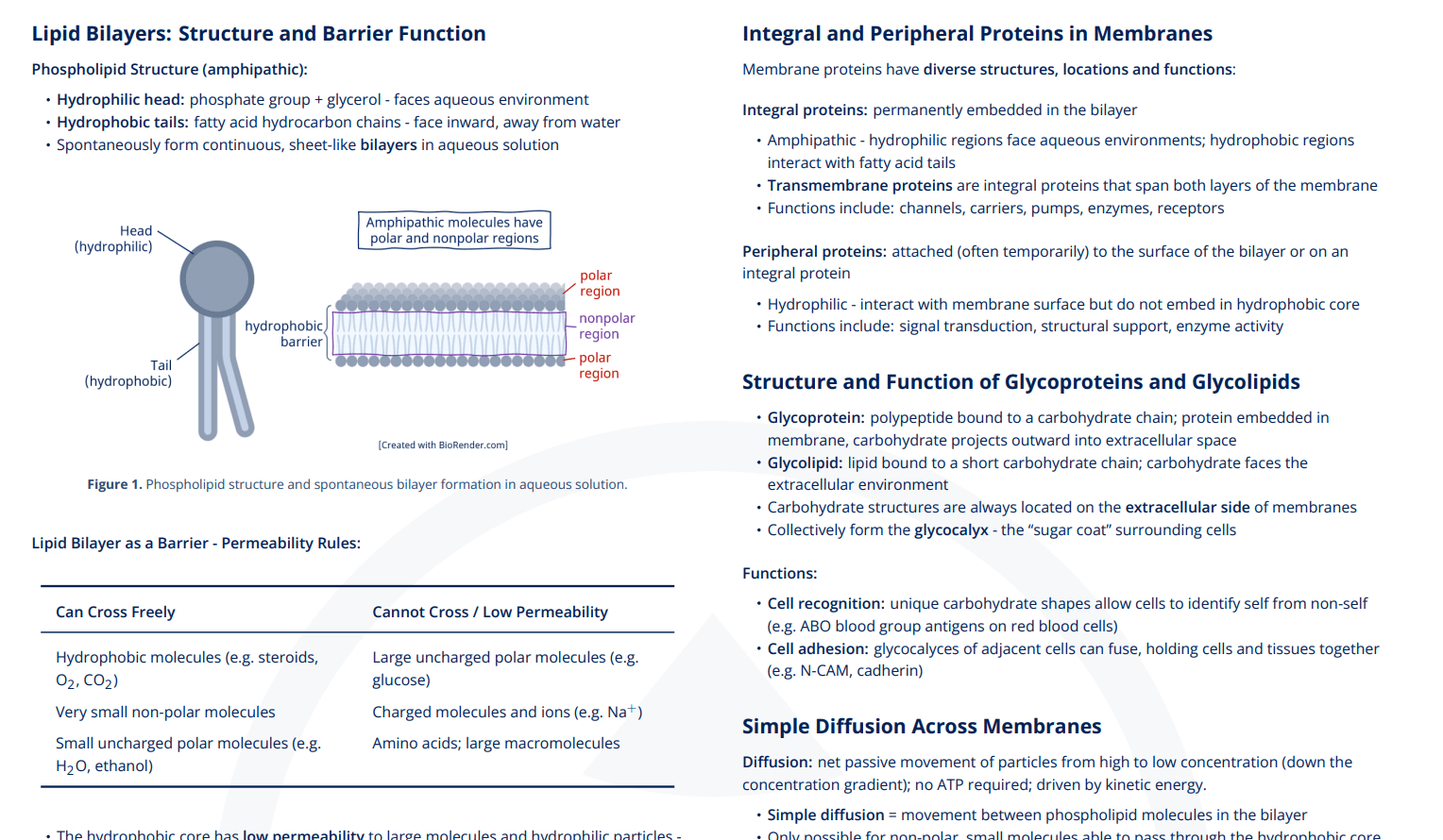 B2.1 - Membranes and Membrane Transport